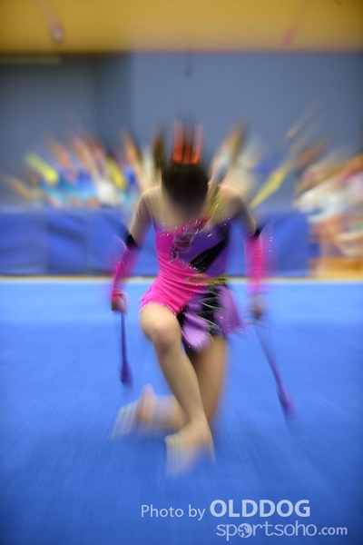 Gymnastics (313)