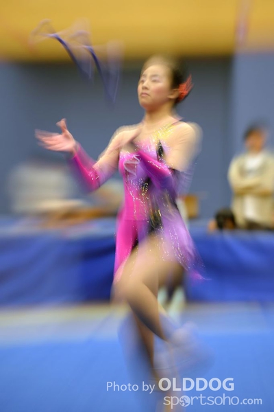 Gymnastics (314)