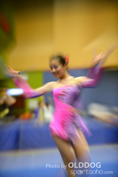 Gymnastics (315)