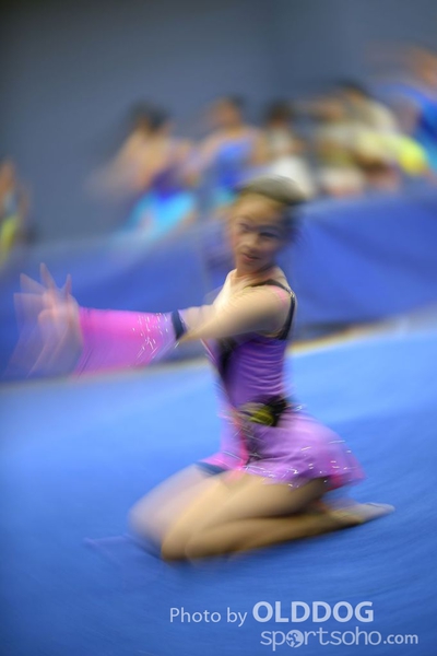 Gymnastics (316)
