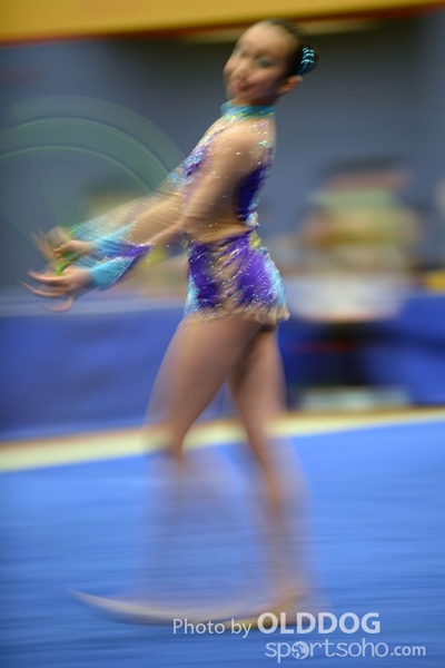 Gymnastics (317)