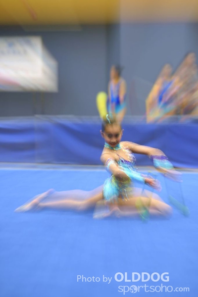 Gymnastics (319)