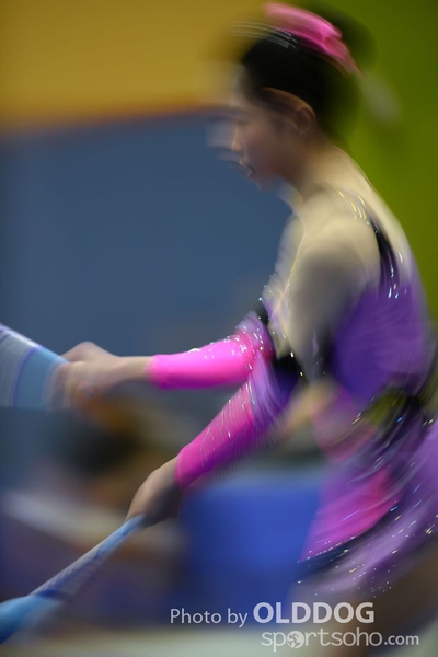 Gymnastics (320)