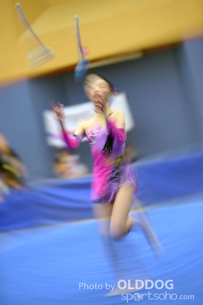 Gymnastics (321)