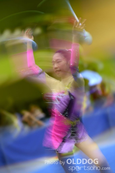 Gymnastics (322)