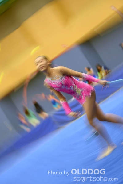Gymnastics (323)