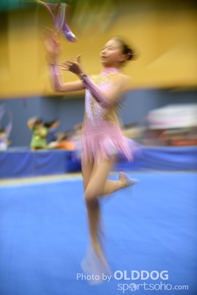 Gymnastics (324)