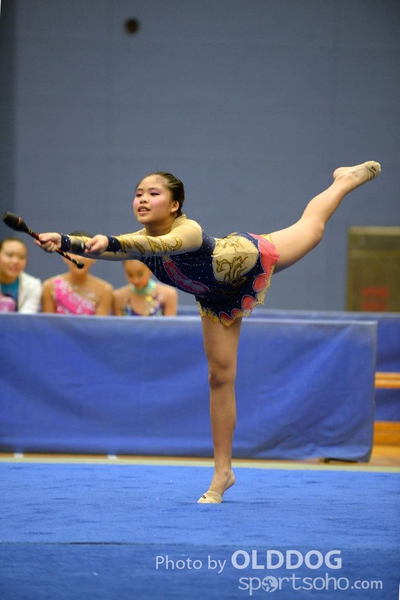 Gymnastics (325)