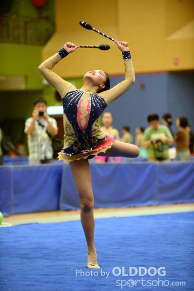 Gymnastics (327)