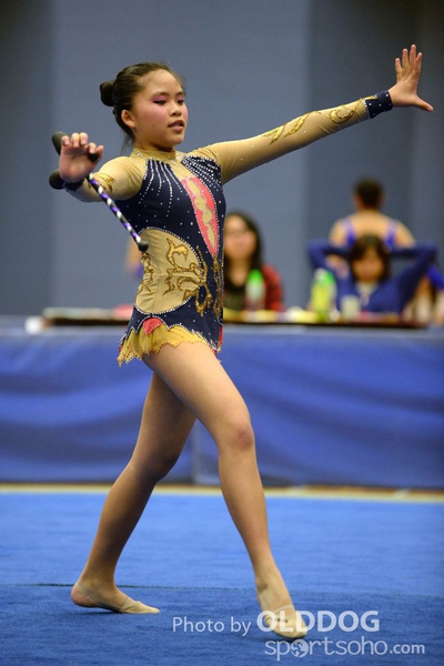 Gymnastics (328)