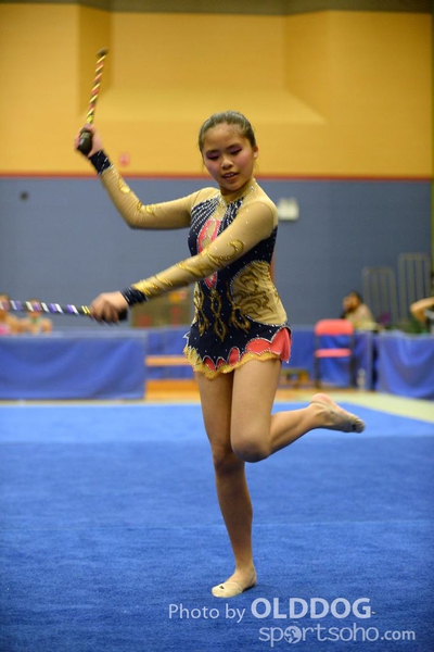 Gymnastics (329)