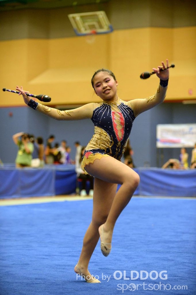 Gymnastics (330)