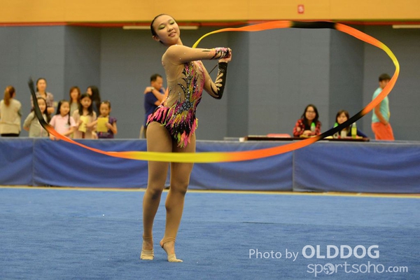 Gymnastics (332)