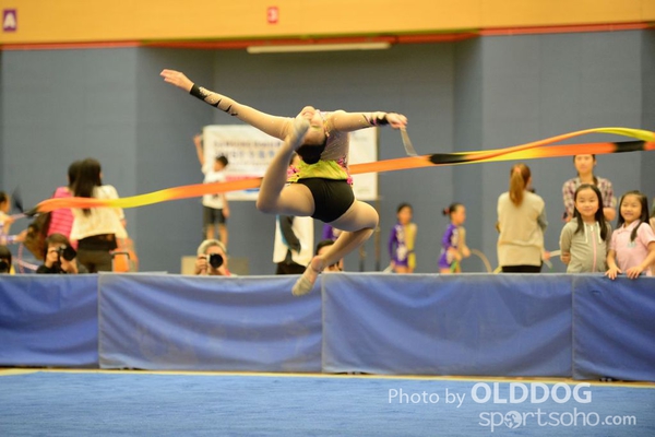 Gymnastics (333)