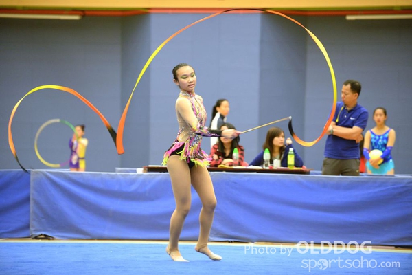 Gymnastics (334)
