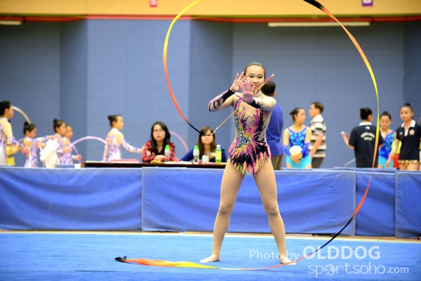 Gymnastics (336)