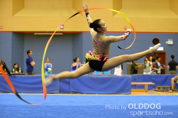 Gymnastics (338)