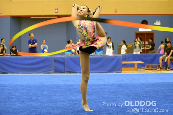 Gymnastics (339)