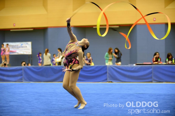 Gymnastics (340)
