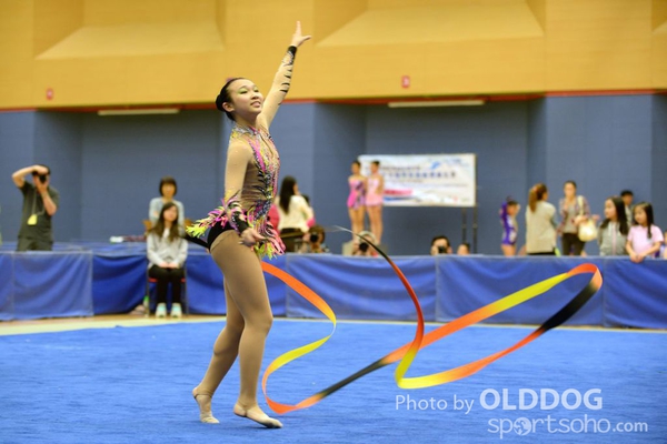Gymnastics (341)