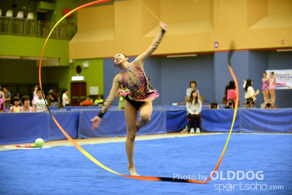 Gymnastics (342)