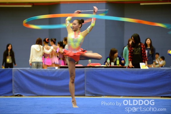 Gymnastics (344)
