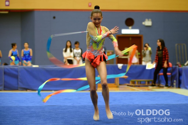 Gymnastics (345)