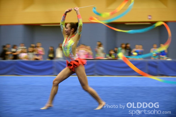 Gymnastics (346)