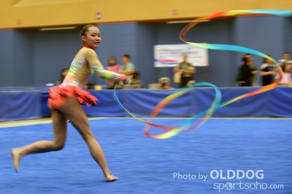 Gymnastics (347)