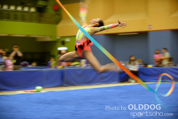 Gymnastics (348)
