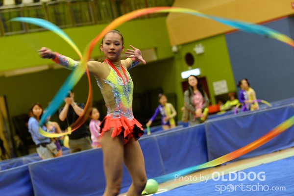 Gymnastics (349)