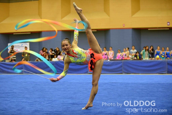 Gymnastics (351)