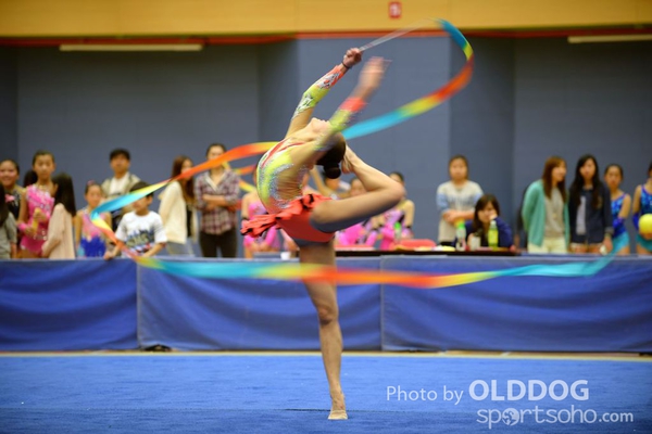 Gymnastics (352)