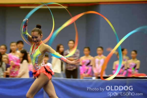 Gymnastics (353)