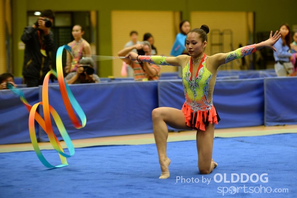 Gymnastics (354)