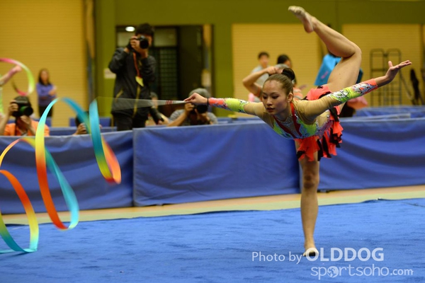 Gymnastics (355)