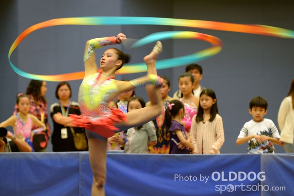 Gymnastics (356)