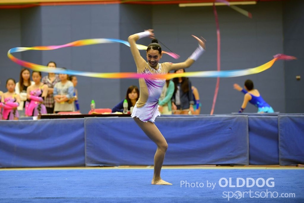 Gymnastics (357)