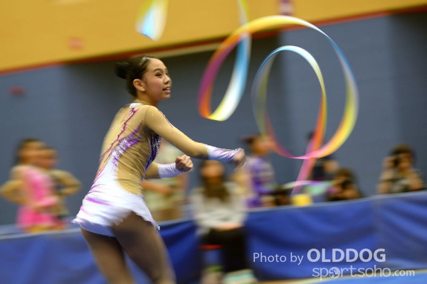 Gymnastics (358)