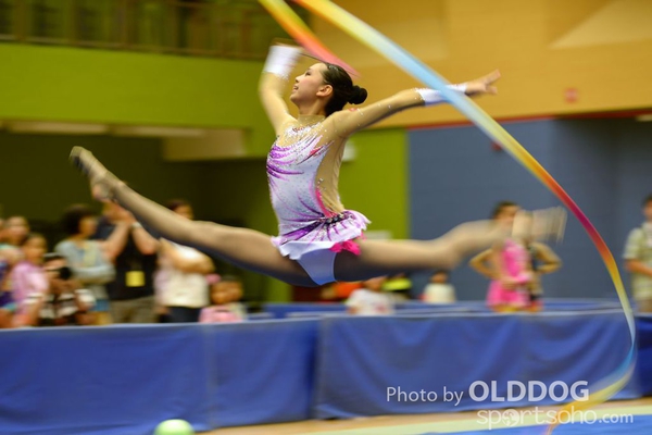 Gymnastics (359)