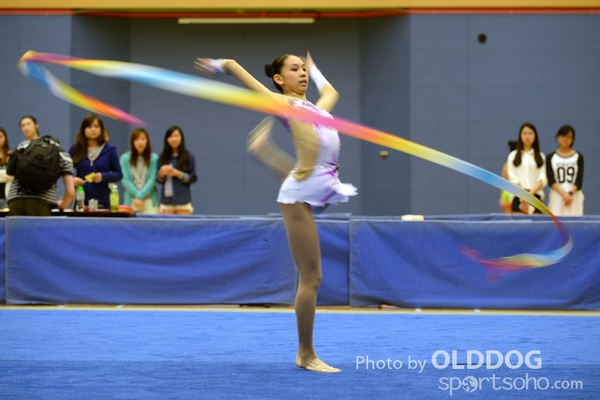 Gymnastics (361)