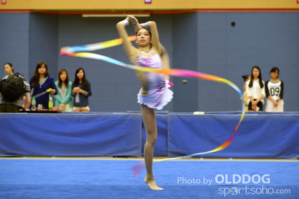 Gymnastics (362)