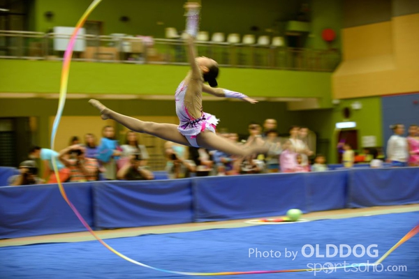 Gymnastics (363)