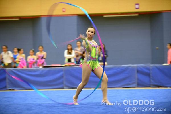 Gymnastics (364)