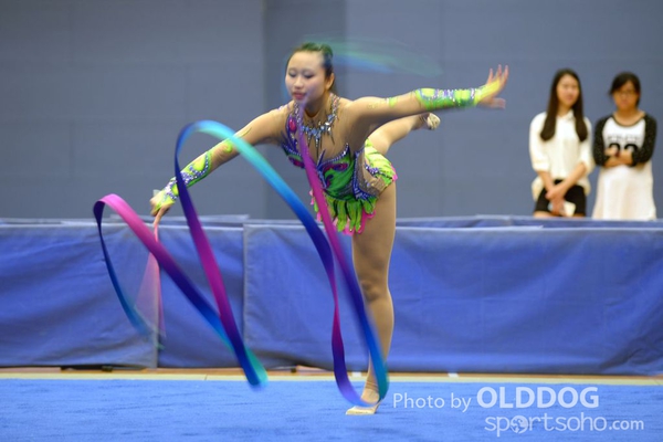 Gymnastics (365)