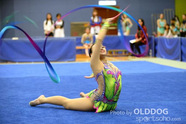 Gymnastics (366)