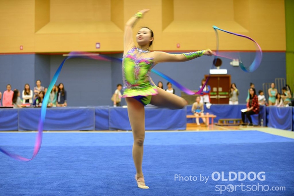 Gymnastics (367)