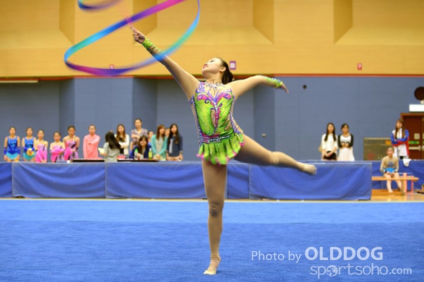Gymnastics (368)