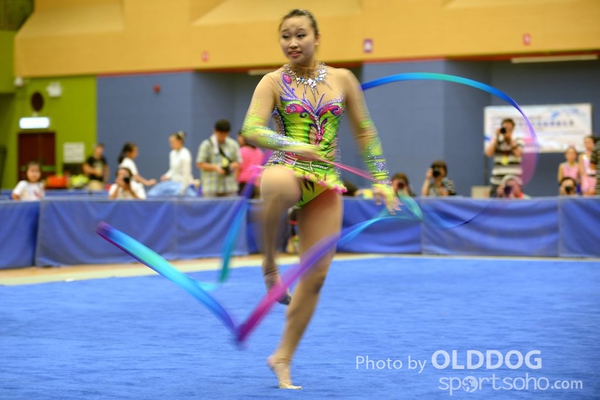 Gymnastics (370)