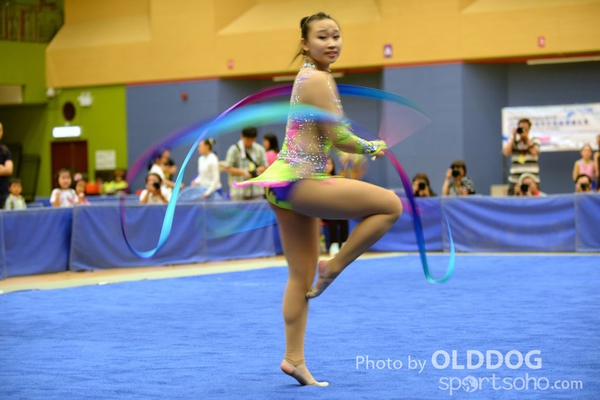 Gymnastics (371)